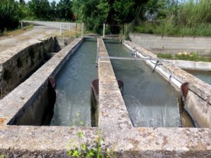 l'eau du Canal de Craponne