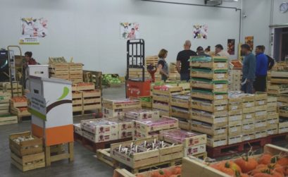 La halle producteurs au MIN de Cavaillon