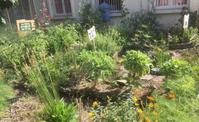 chantier participatif avec Heko Permaculture