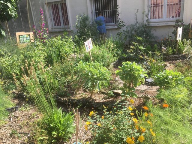 chantier participatif avec Heko Permaculture