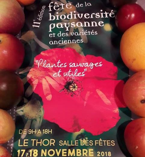 le Thor et la fête de la biodiversité