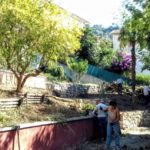 Nice jardin collectif