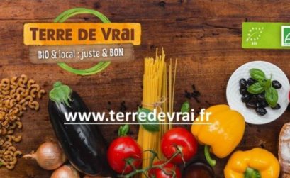 Terre de Vrai Orange