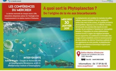 conférence sur le phytoplancton avec la station marine d'Endoume