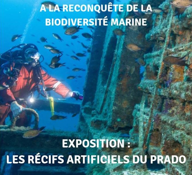 les récifs artificiels du Prado