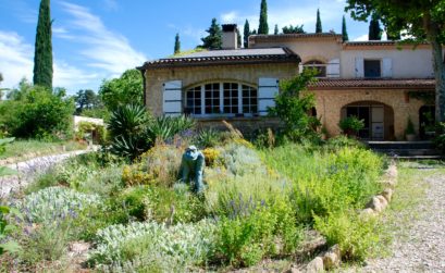 cueillette de plantes sauvages au Grand Jardin d'Elizabeth