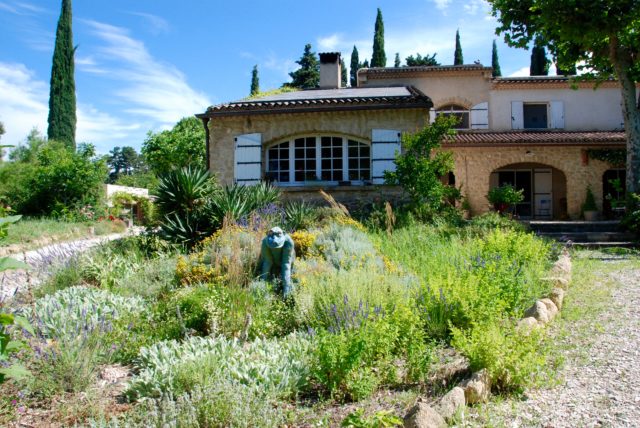 cueillette de plantes sauvages au Grand Jardin d'Elizabeth