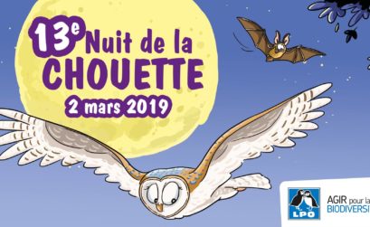 Nuit de la chouette 2019