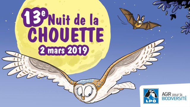 Nuit de la chouette 2019