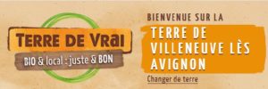Terre de Villeneuve les Avignon