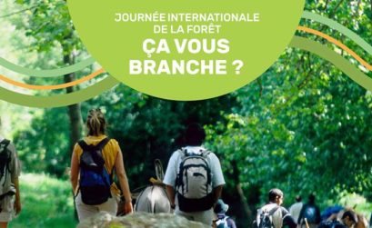 Randos à l'occasion de la journée internationale des forêts