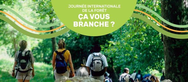 Randos à l'occasion de la journée internationale des forêts