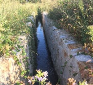 canal des moulins Bleu Tomate