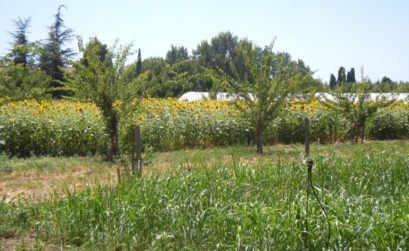 la Ferme de la Durette