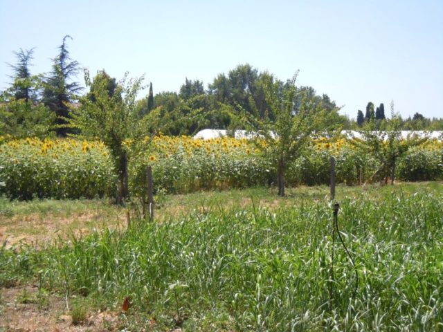 la Ferme de la Durette