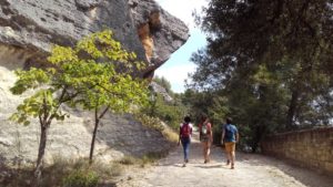 sorties buissonnières PNR Luberon 2019