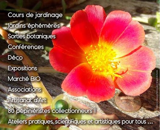 Journée Plantes Rares et Jardin Naturel