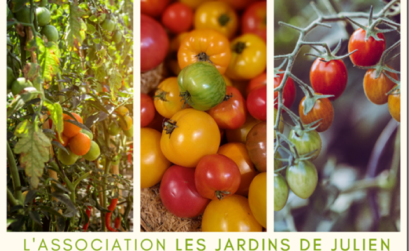 journée tomatophile, tout savoir sur les tomates