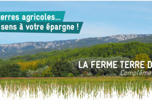 Terre de Durance ferme à agrandir