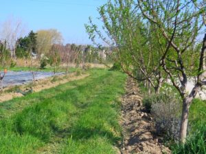 Terre de liens achète la Durette ferme de la Durette