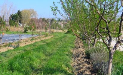 Terre de liens achète la Durette ferme de la Durette