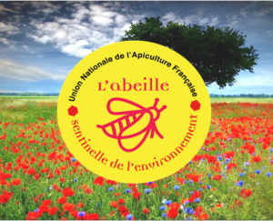 Abeille Sentinelle Environnment et Apidays