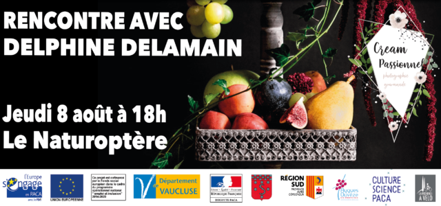 Expo D. Delamain