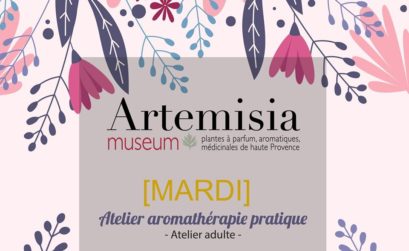 Forcalquier accueille Artemisia Museum