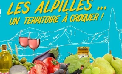 LEs Alpilles un territoire à croquer