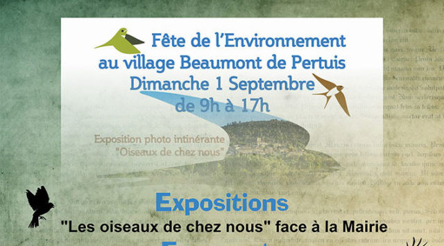 fete de l environnement