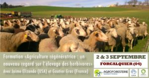 formation sur l'élevage en agroforesterie