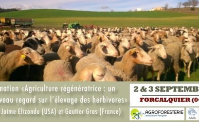 formation sur l'élevage en agroforesterie