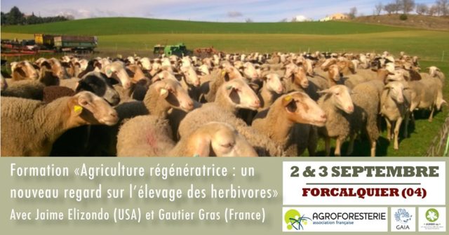 formation sur l'élevage en agroforesterie