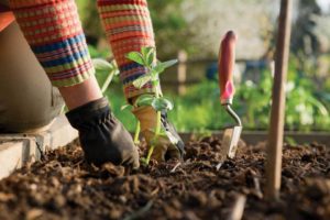 atelier jardinage Lauris