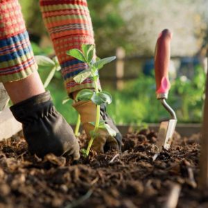 atelier jardinage Lauris