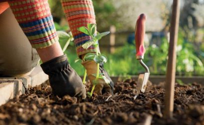 atelier jardinage Lauris