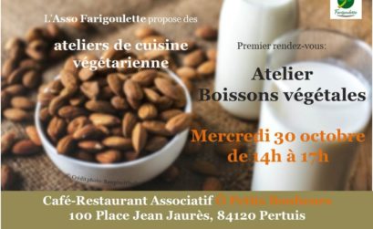 fabriquer sa boisson végétale