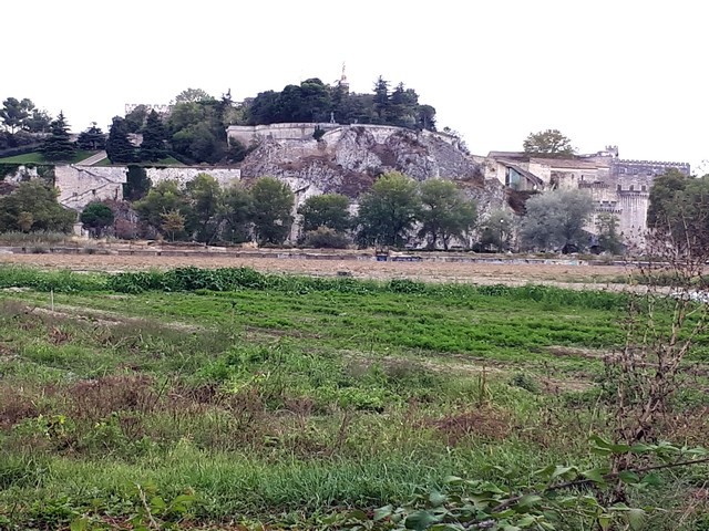 Au bord du Rhône et au pied du Palais des Papes