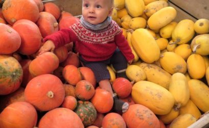 A la ferme pour bien manger