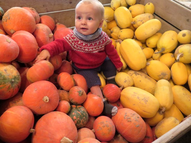 A la ferme pour bien manger