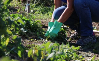 A Gignac, un arrêté anti-pesticides - ©Mairie de Gignac-la-Nerthe