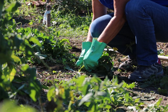 A Gignac, un arrêté anti-pesticides - ©Mairie de Gignac-la-Nerthe