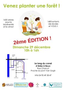 Plantons des arbres