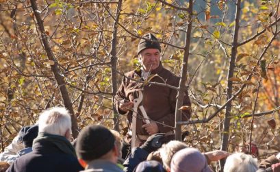 apprendre le verger en biodynamie avec JL Petit photo JL Uyttendaele