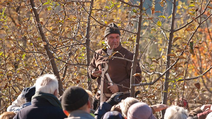 apprendre le verger en biodynamie avec JL Petit photo JL Uyttendaele