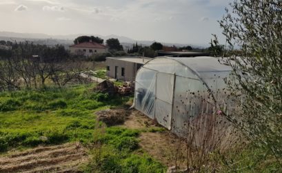 potager agro écolo avec Colinéo