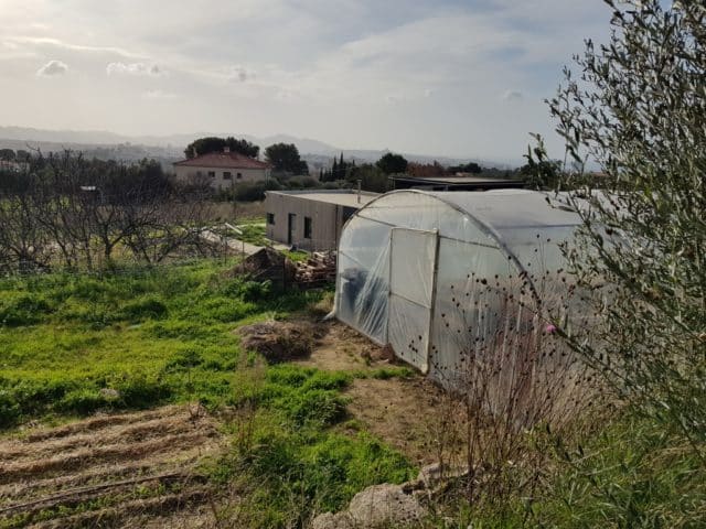 potager agro écolo avec Colinéo