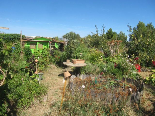 jardinot jardin St Louis Marseille