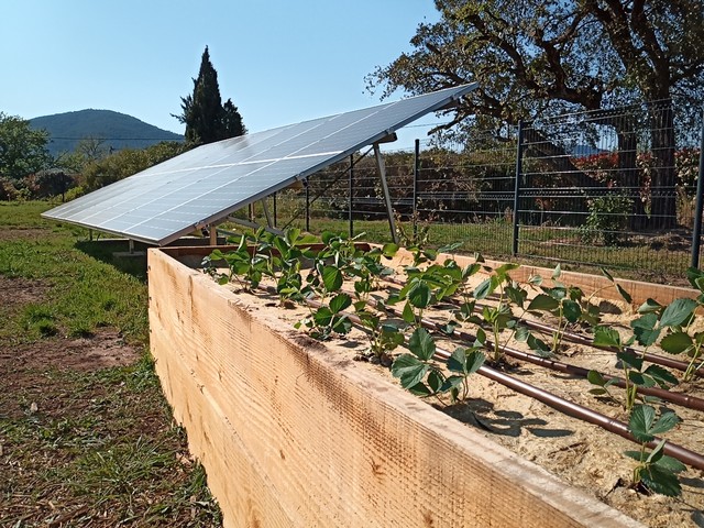 potager bio d'entreprise