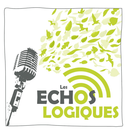 logo les echos logiques